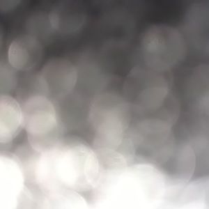 Meet your Posher, Shawntel